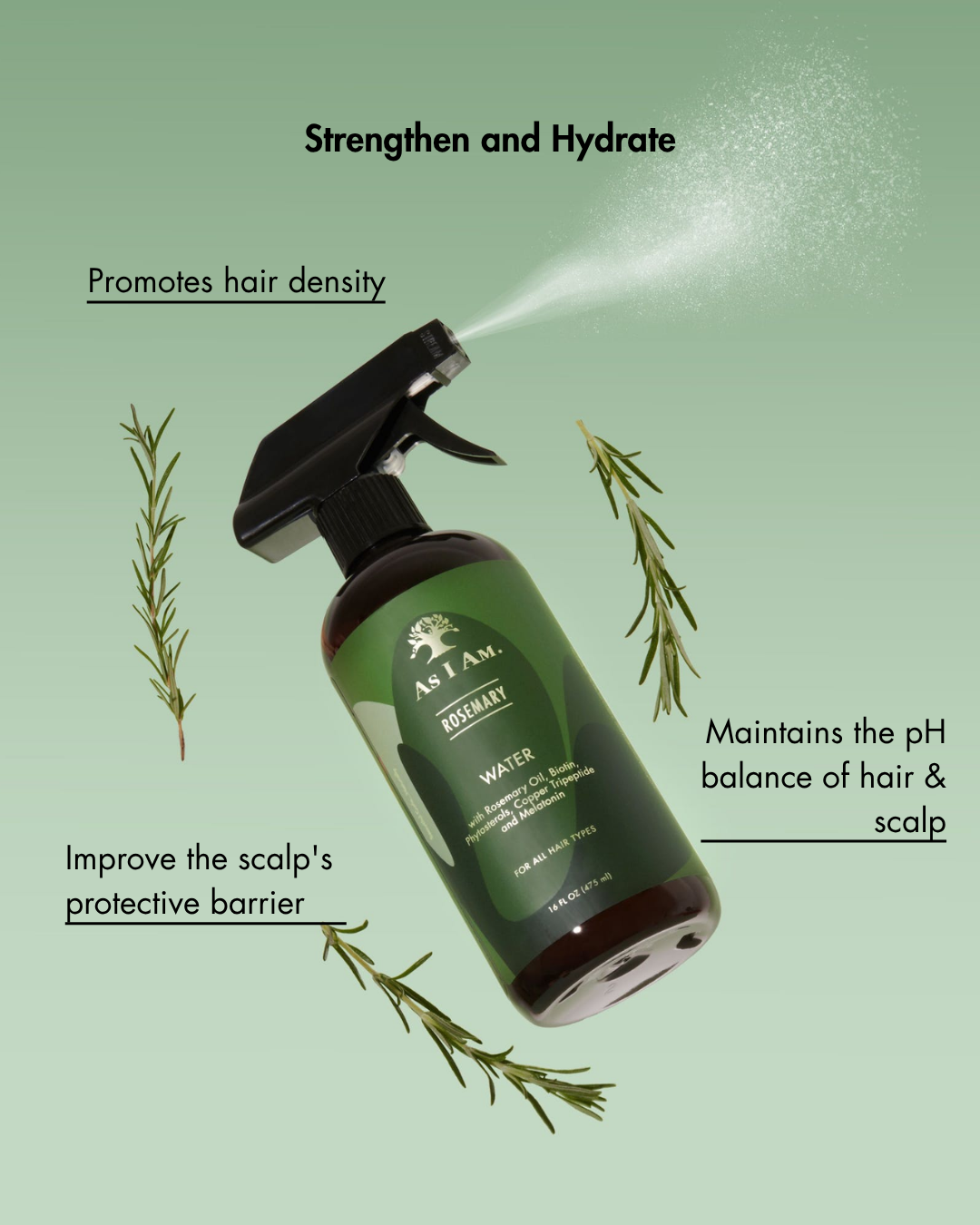 Rosemary Water Position 4