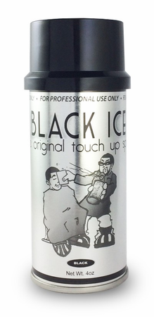 Black Ice Touch Up Spray
